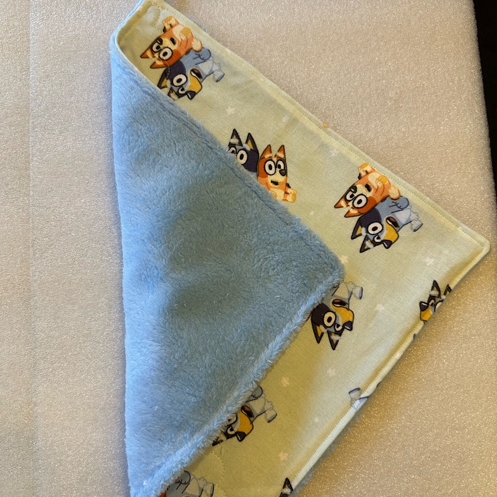 NEW! Handmade Softy Cloth Bluey and Bingo with Blue and Green Design